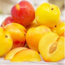 ШАРАФУГА БЕЛЛА ГОЛД (Bella Gold)